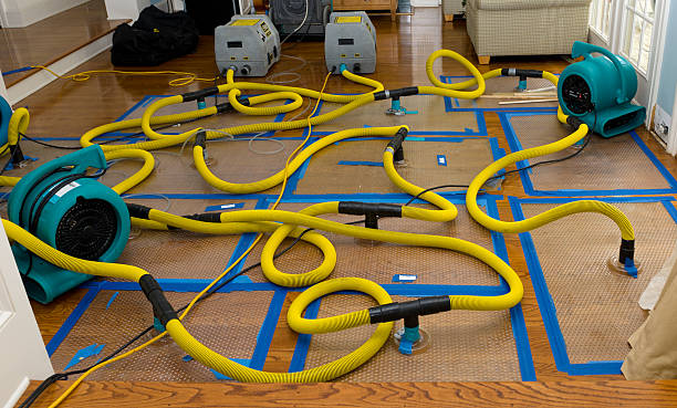 Professional Structural Drying And Dehumidification technician working in Chambers, AZ